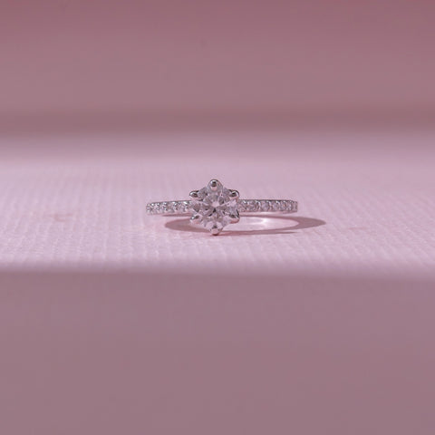 Front view of a white gold diamond ring, featuring a round solitaire center stone with pavé-set band detailing. Captured against a soft pink backdrop, the design reflects timeless sparkle and elegance.