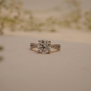 Front view of Reia's Crowned Radiance Diamond Proposal Ring, highlighting its elevated round-cut centre stone and shimmering pave detailing on the gold band.