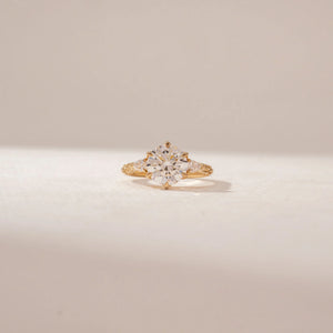 Graceful Elevated Band Diamond Ring
