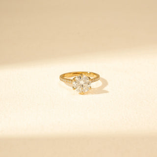 Close-up view of Round Solitaire Diamond Ring in 14KT Yellow Gold, featuring a round centre diamond and pavé-set band.