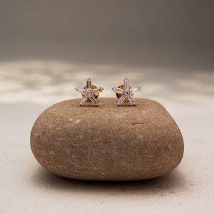 Shimmering Diamond Star Style Earring