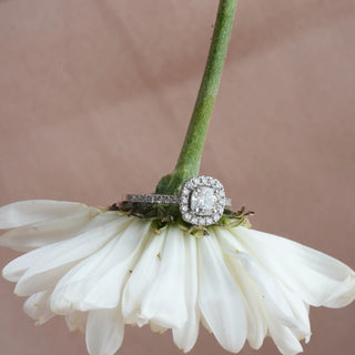 A top view of an ornate diamond engagement female ring of size 11 with a halo design, presented on a white flower. The centre stone is a radiant-cut diamond surrounded by a halo of smaller round brilliant diamonds set in 14 KT  white gold. The total lab-grown diamond carat weight is 0.83 carats with a solitaire of 0.54 carats and the weight of the product is 1.72 grams, providing a brilliant and sparkling appearance to this elegant ring.