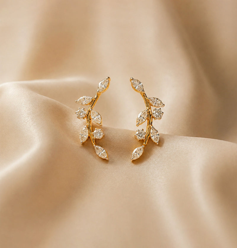 Timeless Collection