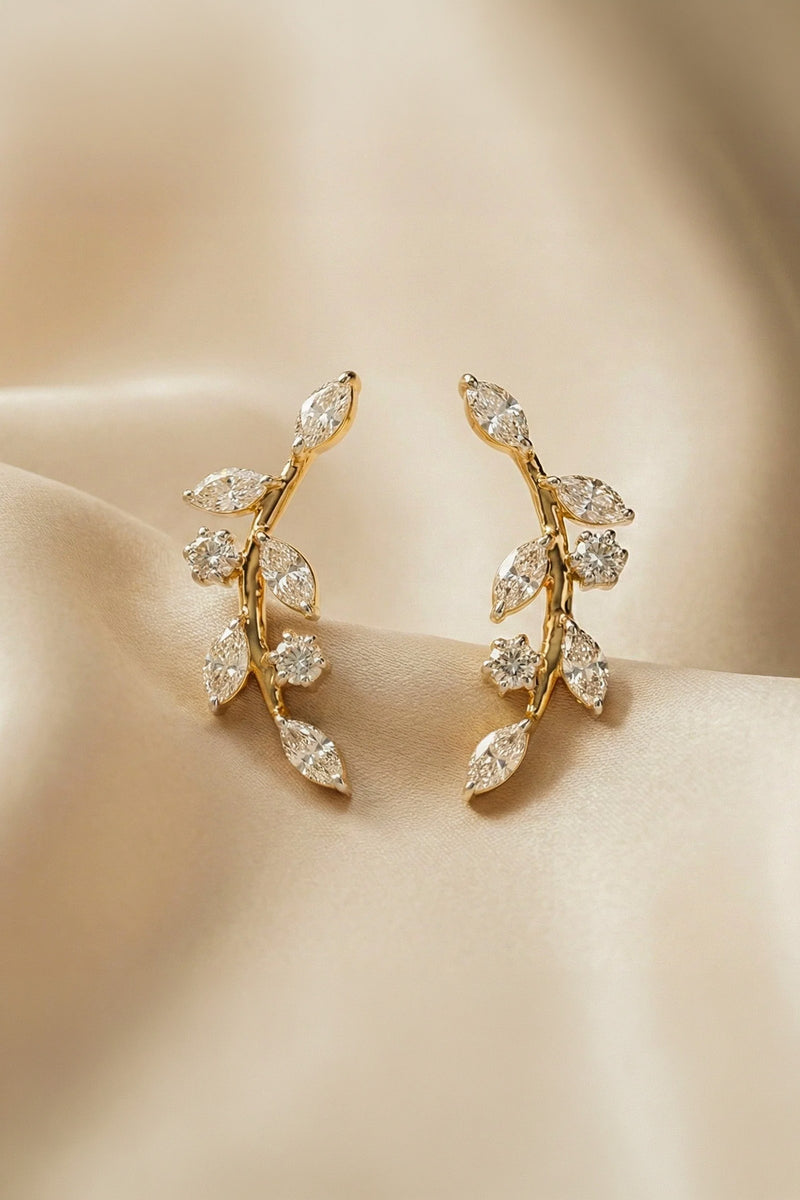 Timeless Collection